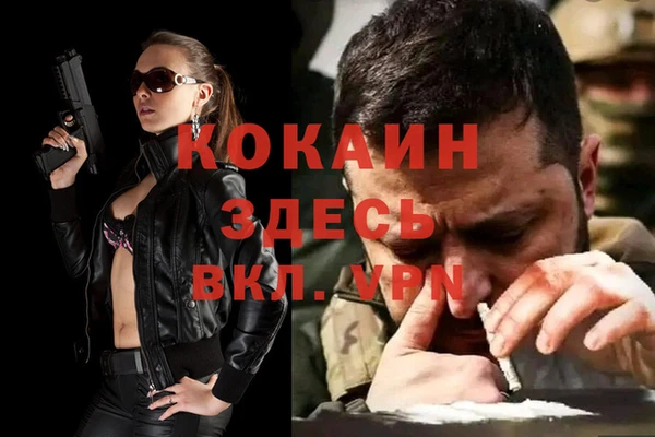 гашик Покровск