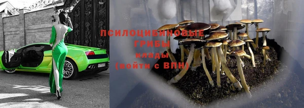 гашик Покровск